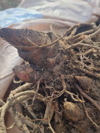 이호성님의 자유주제 · 자유게시판 작성글 사진