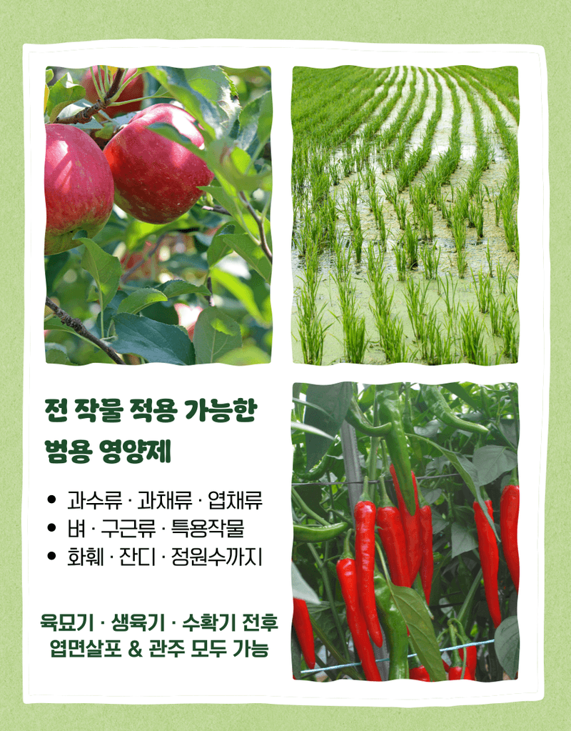 농업마켓365님의 장터 판매 상품 [농업마켓365 융전 토탈팜 액제 500ml 4종복합비료 아미노산 질소 요소 밑거름 웃거름 기비 추비 텃밭 주말농장 ] 첨부 사진