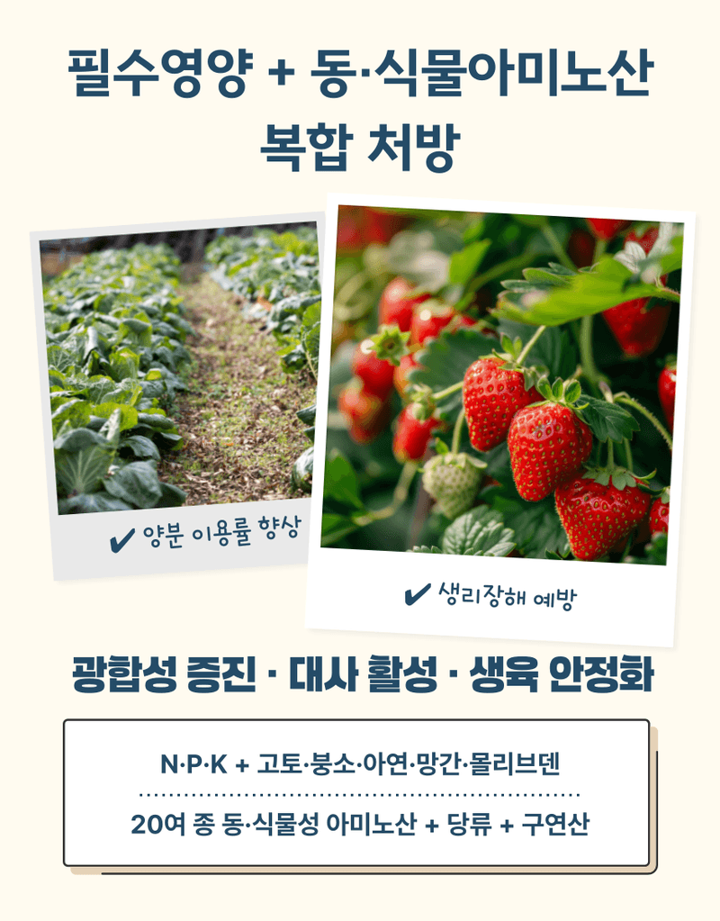 농업마켓365님의 장터 판매 상품 [농업마켓365 융전 토탈팜 액제 500ml 4종복합비료 아미노산 질소 요소 밑거름 웃거름 기비 추비 텃밭 주말농장 ] 첨부 사진