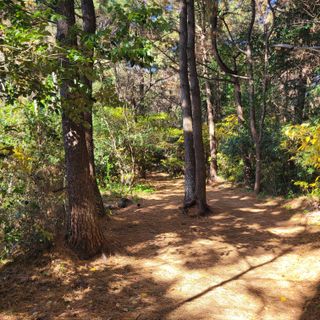 서귀포달코롬감귤농원님의 자유주제 · 자유게시판 작성글 사진