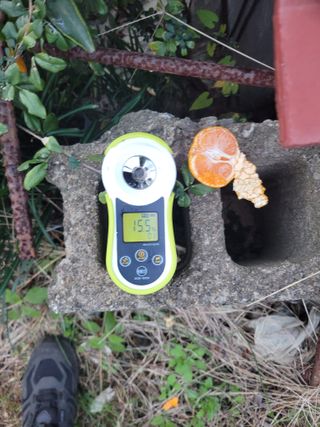 서귀포달코롬감귤농원님의 작성글 사진