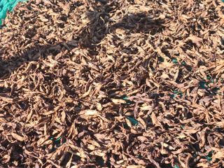 이창신님의 자유주제 · 자유게시판 작성글 사진