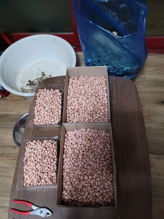 이상숙님의 자유주제 · 자유게시판 작성글 사진