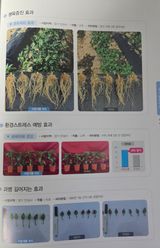 대산농사대장님의 자유주제·자유게시판 작성글 사진