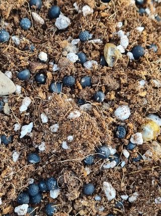 이창신님의 자유주제 · 자유게시판 작성글 사진