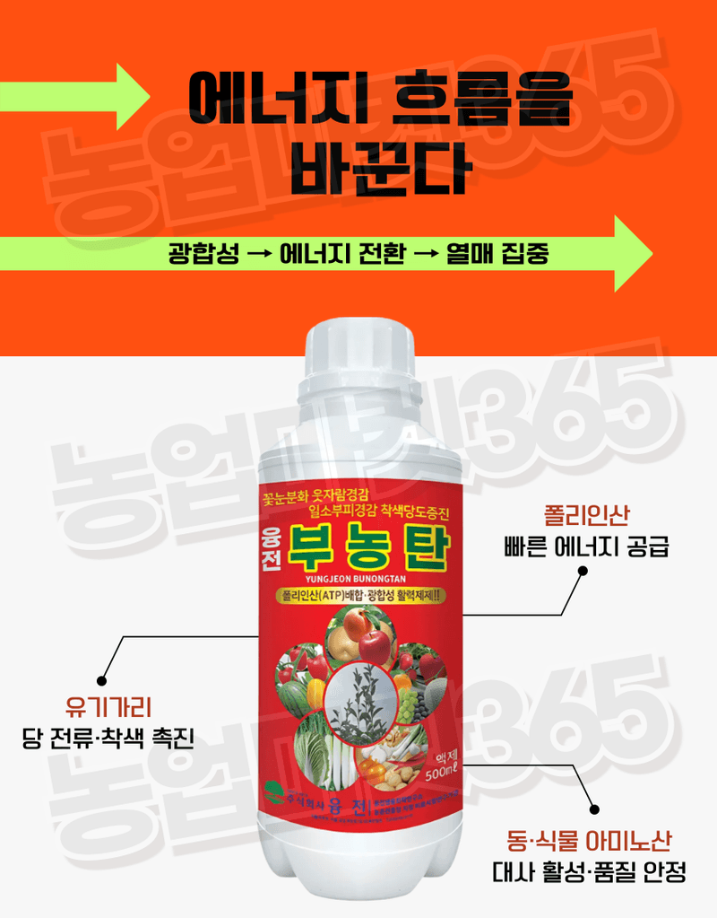 농업마켓365님의 장터 판매 상품 [농업마켓365 융전 부농탄 액제 500ml 도장억제제 웃자람경감제 착색 당도 비대 밑거름 웃거름 기비 추비 사과] 첨부 사진