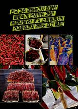 대산농사대장님의 고추·일상 작성글 사진