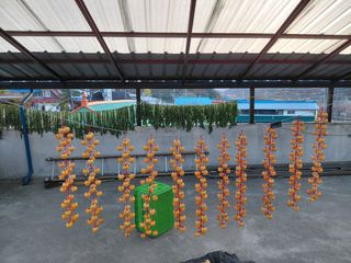 권오철님의 자유주제 · 자유게시판 작성글 사진