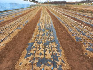 박린님의 자유주제 · 자유게시판 작성글 사진