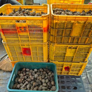 독고다이님의 자유주제 · 자유게시판 작성글 사진