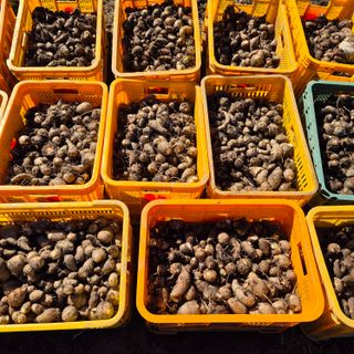 독고다이님의 자유주제 · 자유게시판 작성글 사진