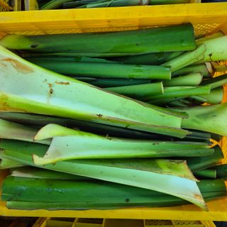 독고다이님의 자유주제 · 자유게시판 작성글 사진