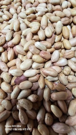 소병래님의 자유주제 · 자유게시판 작성글 사진