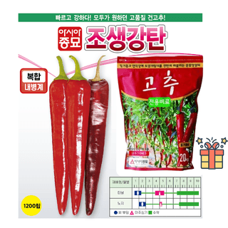 주주씨앗님의 작성글 사진