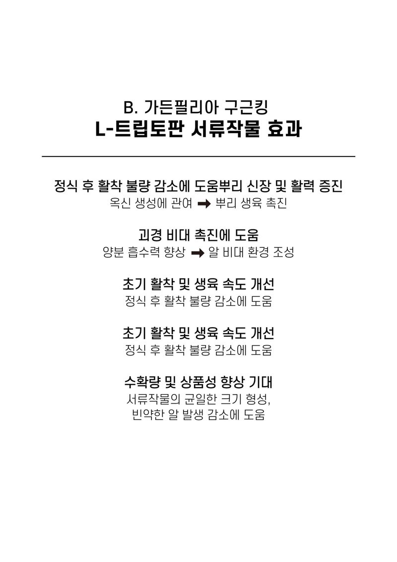 신탄진농약비료마트님의 장터 판매 상품 [가든필리아 구근킹500ml 고구마 감자 비대제 뿌리활착 발근제 복합비료 마늘 양파 부식산 해조추출물] 첨부 사진