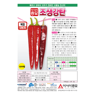 주주씨앗님의 작성글 사진