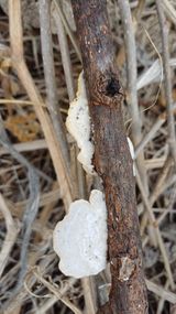 팜모닝 자유주제·자유게시판 게시글 이미지