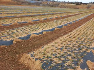 박린님의 자유주제 · 자유게시판 작성글 사진