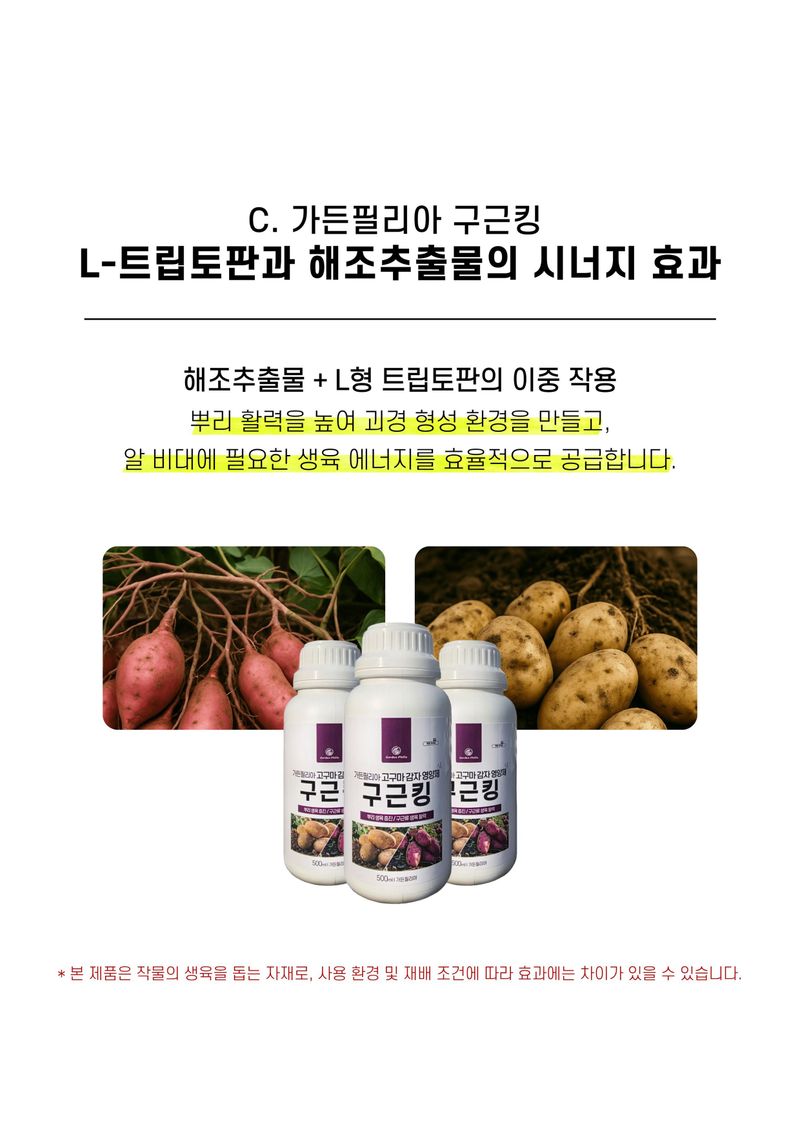 신탄진농약비료마트님의 장터 판매 상품 [가든필리아 구근킹500ml 2병 고구마 감자 비대제 뿌리활착 발근제 복합비료 마늘 양파 부식산 해조추출물] 첨부 사진