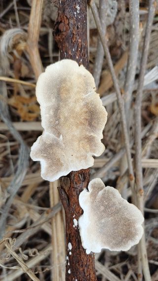 박신영님의 자유주제 · 자유게시판 작성글 사진