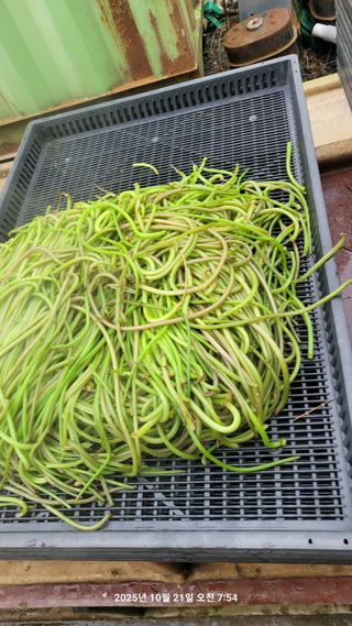 이동훈님의 자유주제 · 자유게시판 작성글 사진