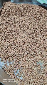 팜모닝 자유주제·자유게시판 게시글 이미지