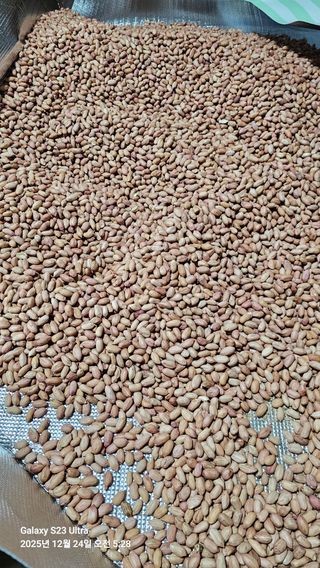 소병래님의 자유주제 · 자유게시판 작성글 사진