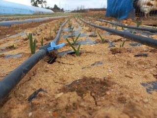 박린님의 자유주제 · 자유게시판 작성글 사진