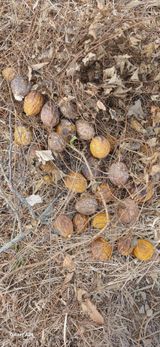 팜모닝 자유주제·자유게시판 게시글 이미지