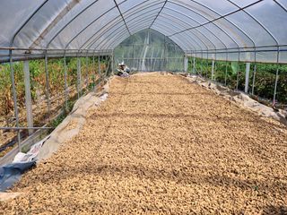 신현효님의 작성글 사진