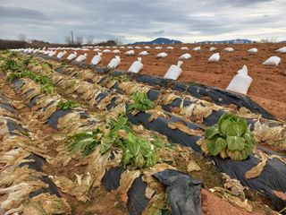 박린님의 자유주제 · 자유게시판 작성글 사진