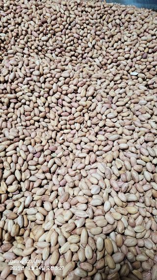 소병래님의 자유주제 · 자유게시판 작성글 사진