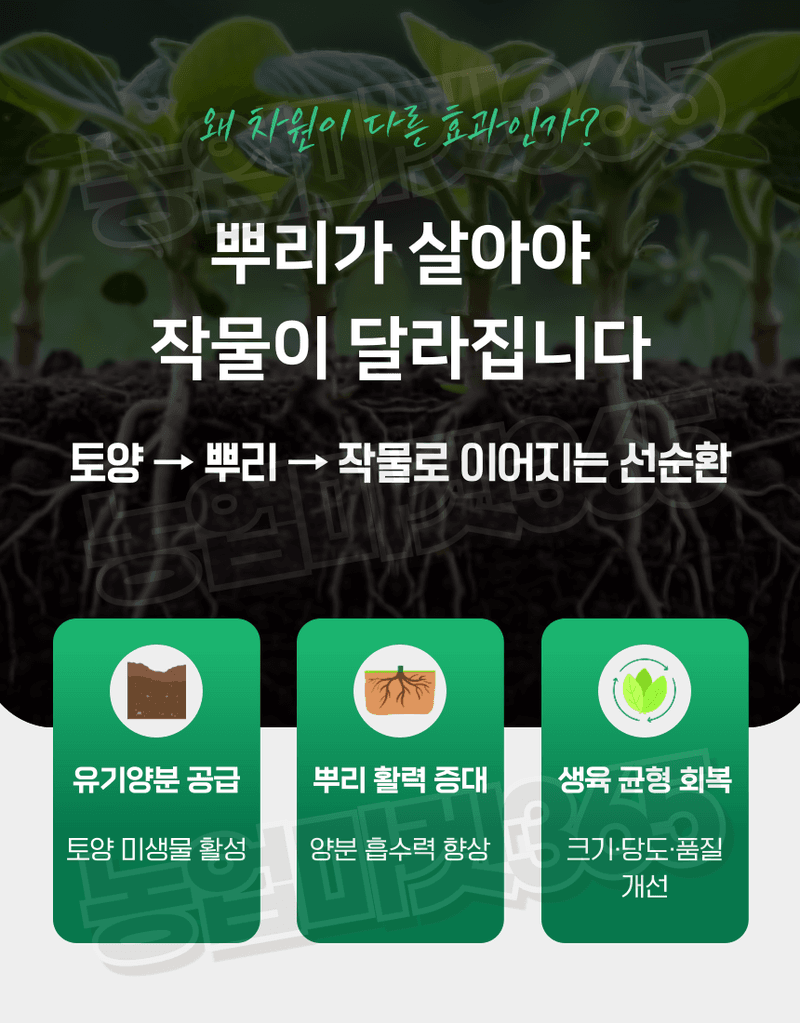 농업마켓365님의 장터 판매 상품 [유기빠삐용 액제 11L(12kg) 2통 아미노산 해조추출물 프리미엄 관주영양제] 첨부 사진