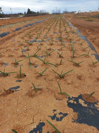 박린님의 자유주제 · 자유게시판 작성글 사진