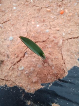 박린님의 자유주제 · 자유게시판 작성글 사진