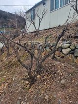 팜모닝 자유주제·자유게시판 게시글 이미지