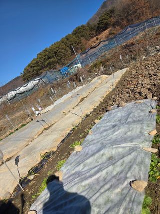 무형교회목사 안영진님의 작성글 사진