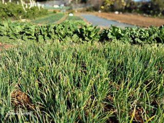 김일채님의 자유주제 · 자유게시판 작성글 사진