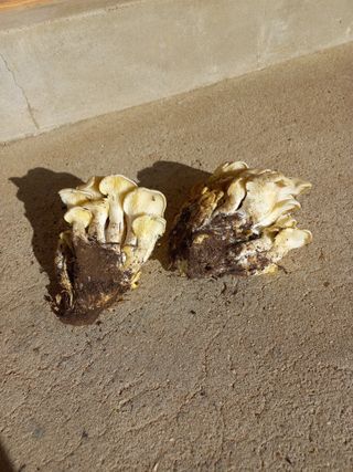 심무재 님의 자유주제·자유게시판 작성글 사진