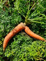 팜모닝 자유주제·자유게시판 게시글 이미지