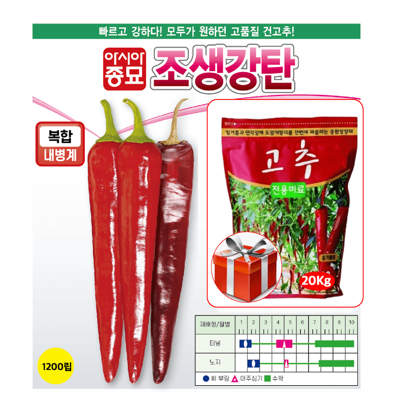 장터 상품 [[건과품질1위] 조생강탄 1200립 + 고추비료20kg 증정 /  고추씨앗 고추씨 고추종자] 썸네일