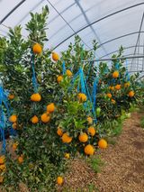 이호님의 자유주제·자유게시판 작성글 사진