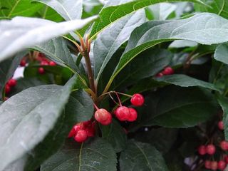 안길원님의 자유주제 · 자유게시판 작성글 사진