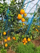 이호님의 자유주제·자유게시판 작성글 사진