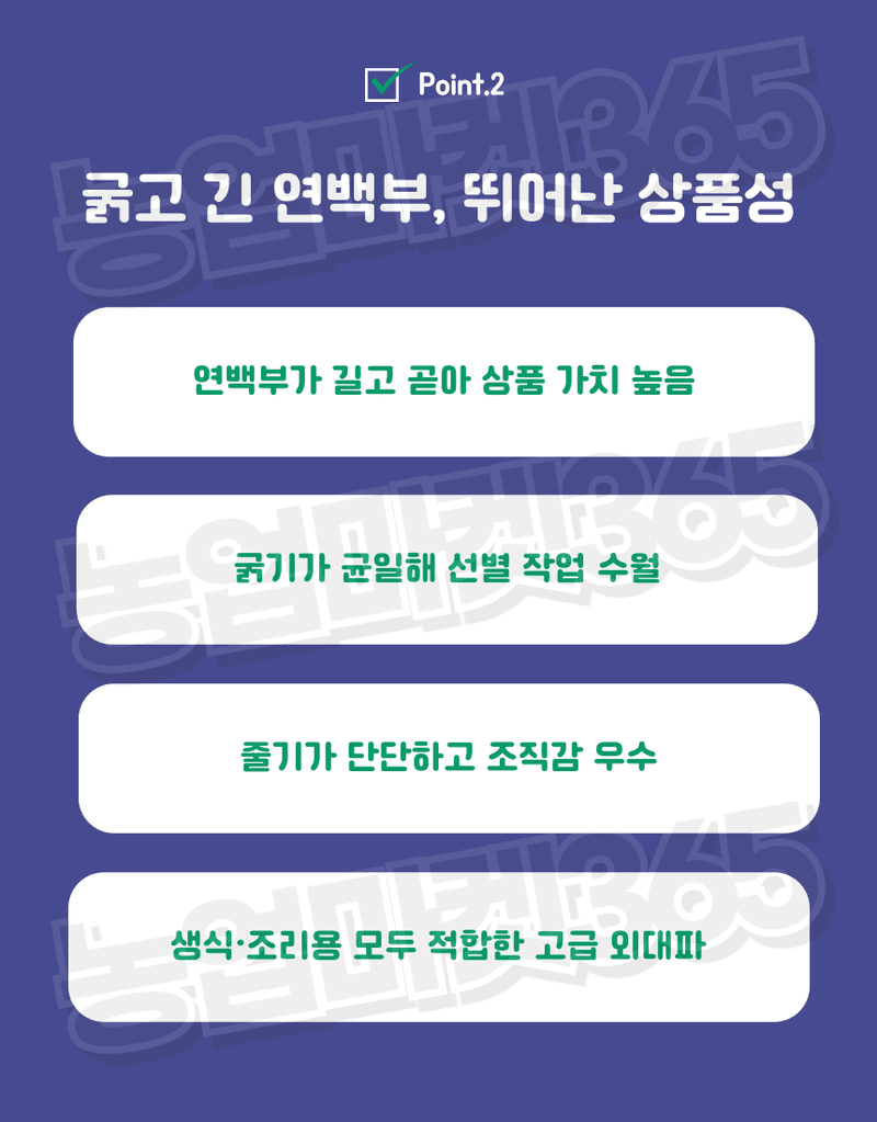 농업마켓365님의 장터 판매 상품 [아시아종묘 대파 흑금대파 10g/80g/400g 씨앗 종자] 첨부 사진