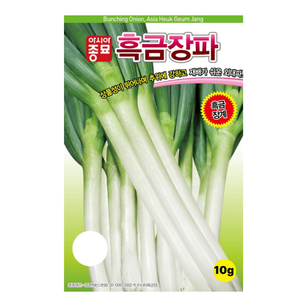 장터 상품 [아시아종묘 대파 흑금대파 10g/80g/400g 씨앗 종자] 썸네일