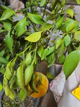 팜모닝 자유주제·자유게시판 게시글 이미지