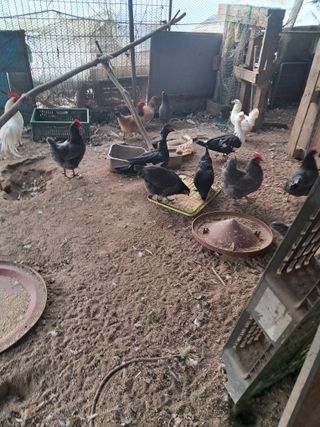 용인시님의 작성글 사진