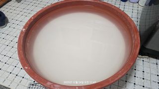 황규복(달구지)님의 자유주제 · 자유게시판 작성글 사진