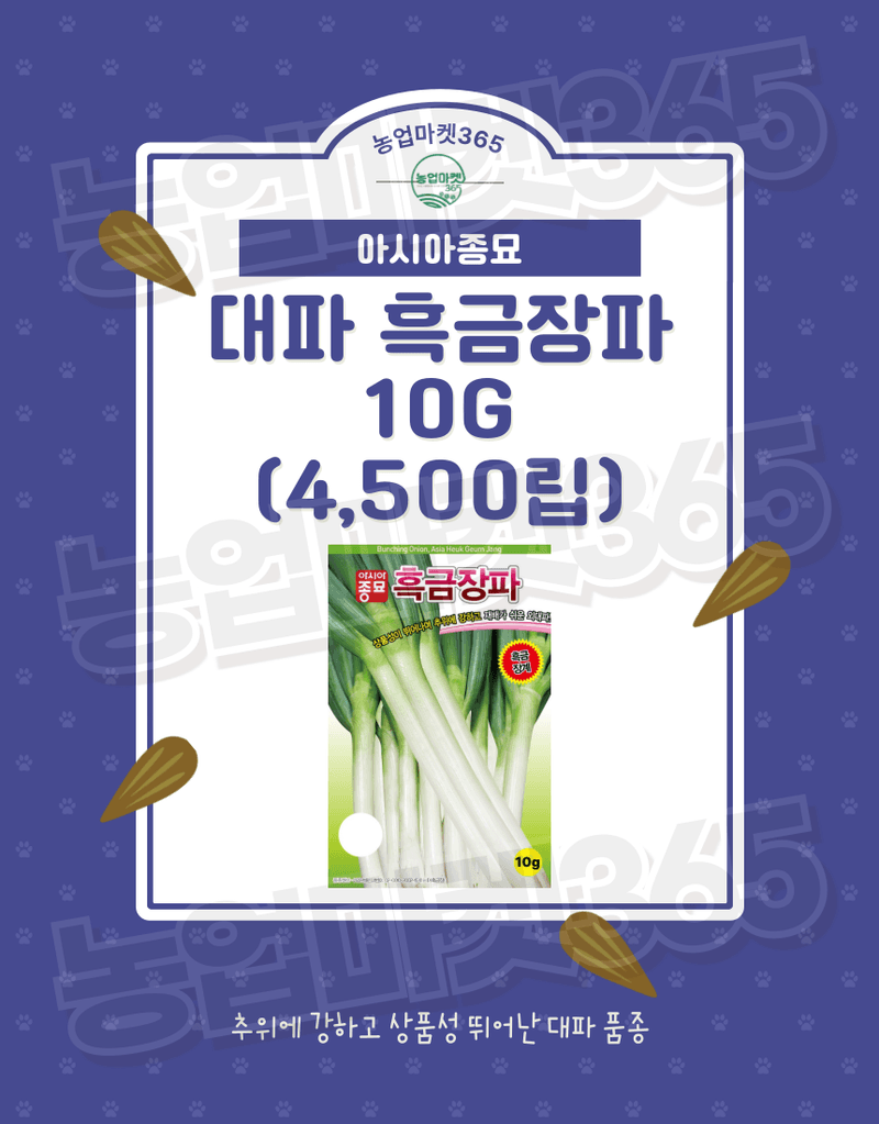 농업마켓365님의 장터 판매 상품 [아시아종묘 대파 흑금대파 10g/80g/400g 씨앗 종자] 첨부 사진